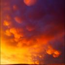 Чудесные цвета, редкое явление