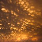 Много ватных тампонов в небе