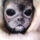 Фото Мария Мэлоун в роли морского котика из раздела  /