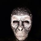 Фото Мария Мэлоун в роли примата из раздела  /