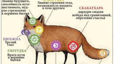 Фото Ситема чакр Лисы из раздела Инфографика / индуизм