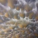 Фото Еще ватные тампоны-облака из раздела  /