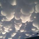 Фото Летающий зефир из раздела  /