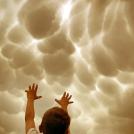 Фото Шерстяные облака! из раздела  /