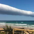 Фото Удивительный вид, особенно на фоне абсолютно чистого неба из раздела  /