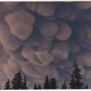 Вот облака прямо как шерсть барашка. Почему вымеобразные?