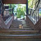 Фото Третье путешествие человечка из картонных коробок по России (39  фото) из раздела  /