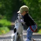 Фото Дети и собаки гуляют вместе (подборка из 24 фото) из раздела  /