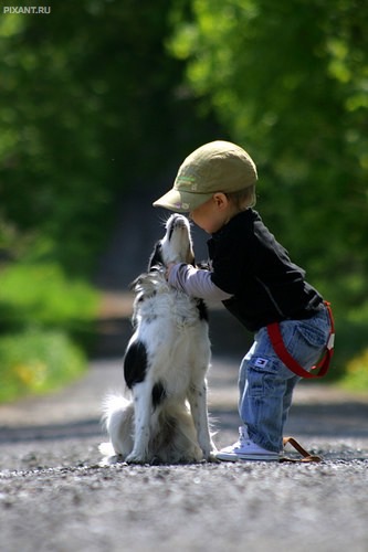 Фото Дети и собаки гуляют вместе (подборка из 24 фото) из раздела  /