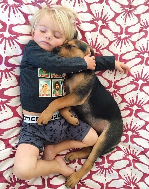 Фото Подборка из 21 милых фото: Спящие дети и собаки. Ми-ми-ми... из раздела  /