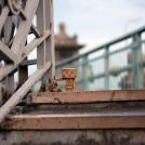 Фото Данбо в России 2: путешествие человечка из картонных коробок (34  фото) из раздела  /