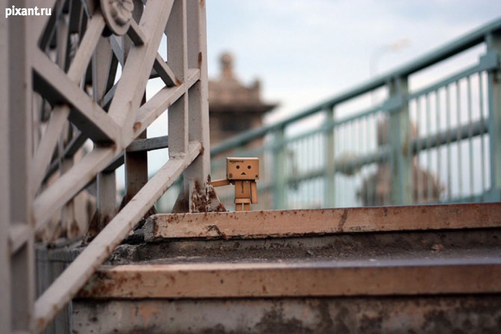 Фото Данбо в России 2: путешествие человечка из картонных коробок (34  фото) из раздела  /