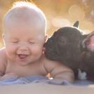 Фото Грудные дети и собаки (подборка из 35 фото) из раздела /