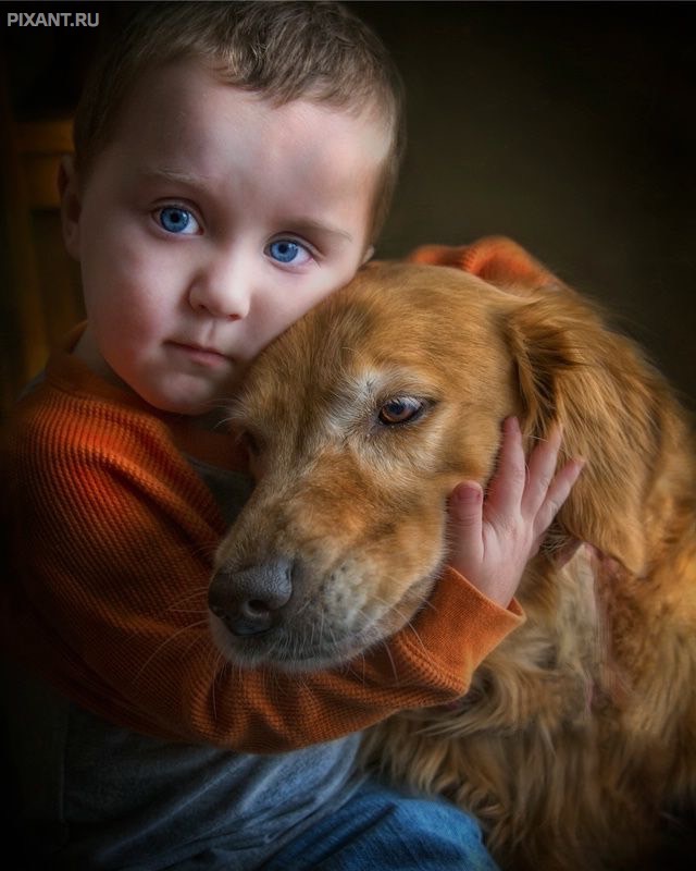 Фото Дети и собаки: обнимашки. Коллекция 51 супер милых фото из раздела  /