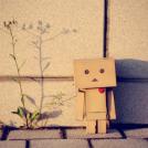 Фото Приключения человечка из картонной коробки Данбо: 131 фото из раздела  /