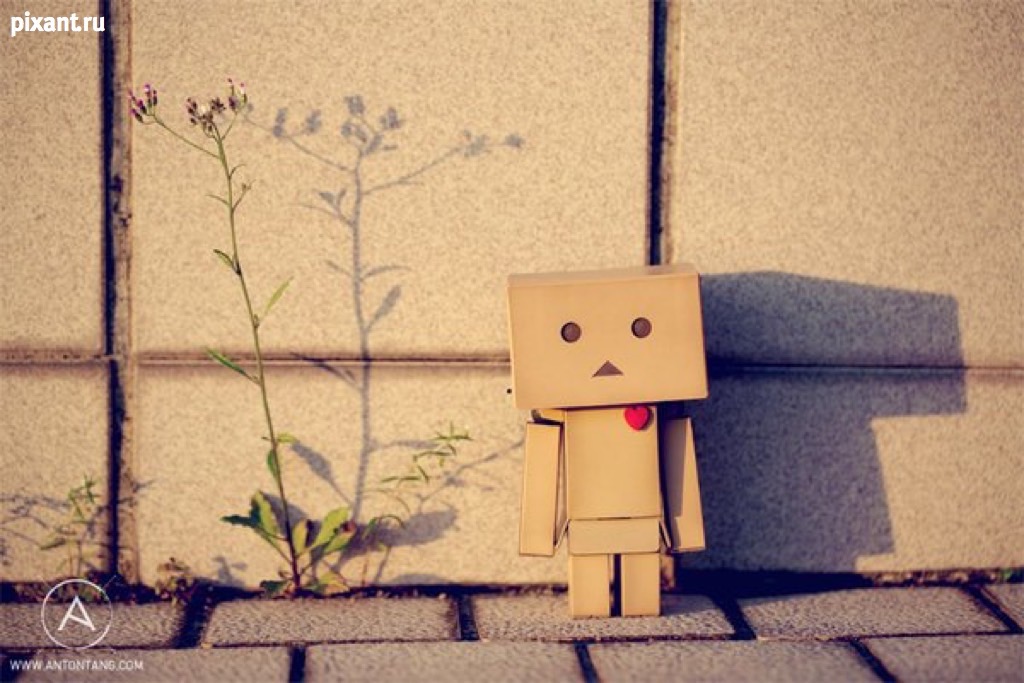 Фото Приключения человечка из картонной коробки Данбо: 131 фото из раздела /