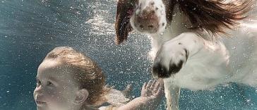 Фото Дети и собаки купаются вместе (позитивная подборка из 19 фото) из раздела  /