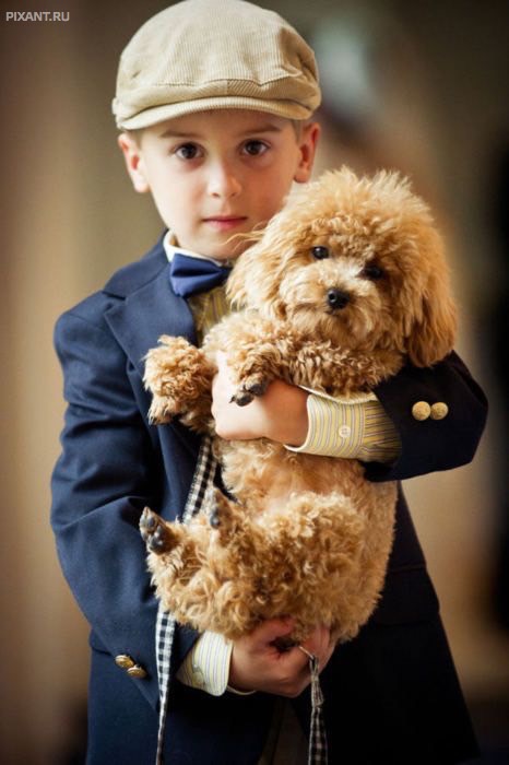 Фото Дети и собаки: лучшие друзья (подборка 20 фото) из раздела /