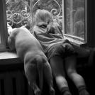 Фото Дети и собаки: лучшие друзья (подборка 20 фото) из раздела  /