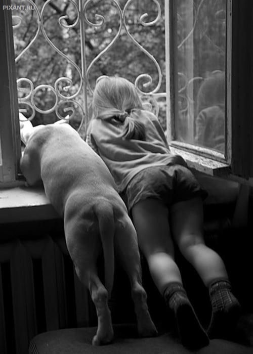 Фото Дети и собаки: лучшие друзья (подборка 20 фото) из раздела /