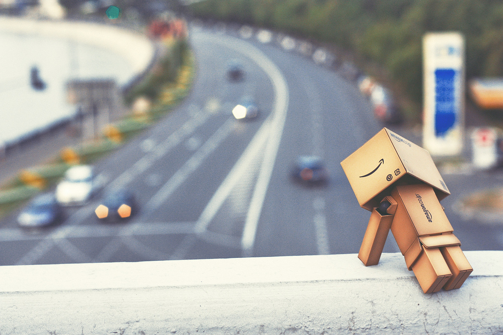 Фото Третье путешествие человечка из картонных коробок по России (39  фото) из раздела  /