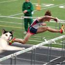 Фото Фотожабы на странного котейку из раздела  /