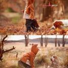 Фото Малышка лисичка и Бассет: прогулки в осеннем лесу из раздела  /