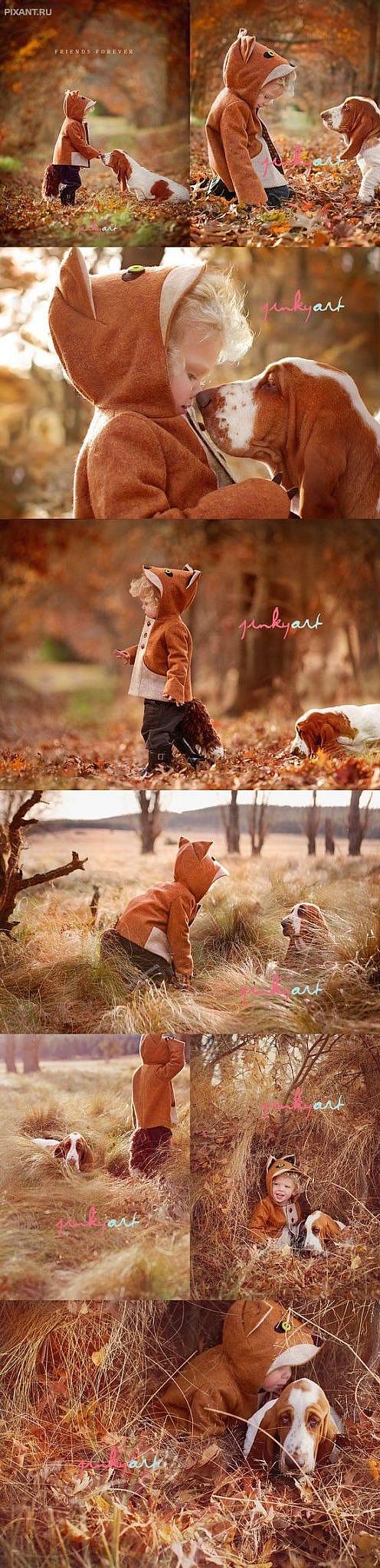 Фото Малышка лисичка и Бассет: прогулки в осеннем лесу из раздела  /