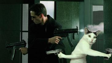 Фото Фотожабы на странного котейку из раздела  /