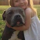 Фото Дети и собаки: обнимашки. Коллекция 51 супер милых фото из раздела  /