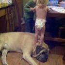 Фото Маленькие детки и собачки (подборка из 22 фото) из раздела  /