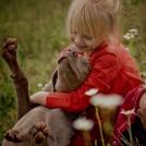 Фото Дети и собаки: обнимашки. Коллекция 51 супер милых фото из раздела /