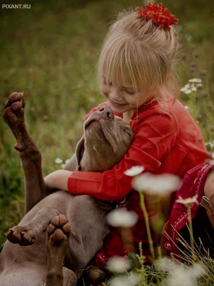 Фото Дети и собаки: обнимашки. Коллекция 51 супер милых фото из раздела  /