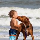 Фото Дети и собаки гуляют вместе (подборка из 24 фото) из раздела /