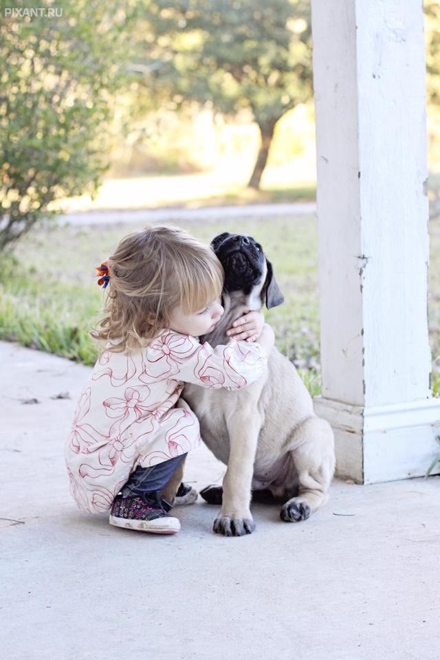 Фото Дети и собаки: обнимашки. Коллекция 51 супер милых фото из раздела  /
