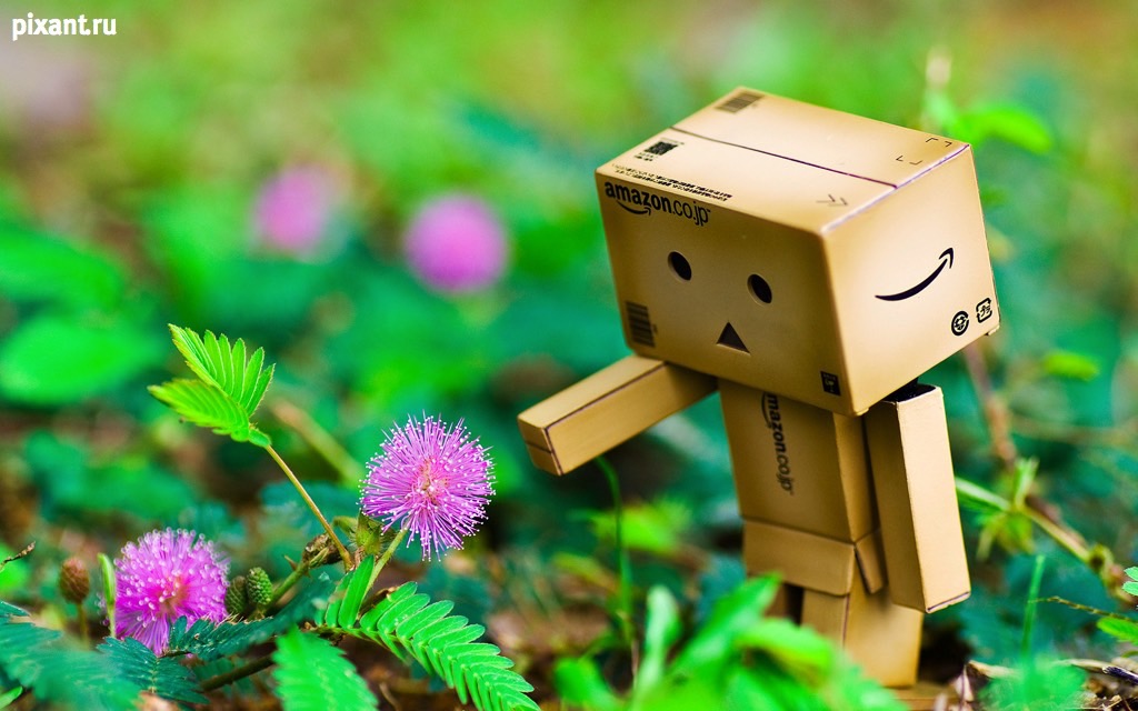 Фото Приключения человечка из картонной коробки Данбо: 131 фото из раздела /