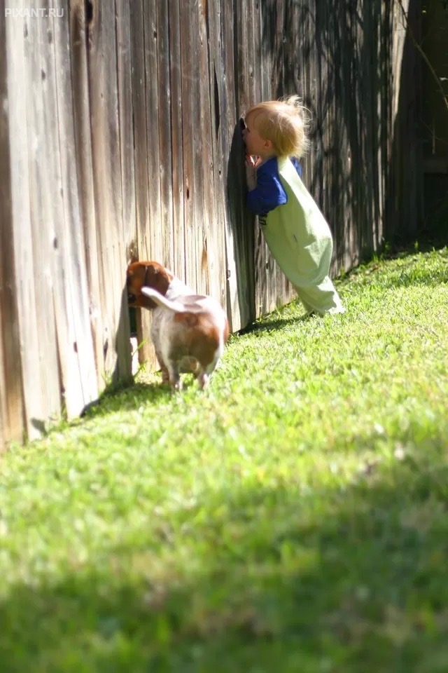 Фото Не, ну вот это дают! Вот это они показывают! из раздела  /