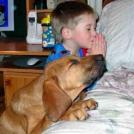Фото Дети и собаки: лучшие друзья (подборка 20 фото) из раздела /