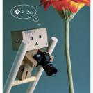 Фото Приключения человечка из картонной коробки Данбо: 131 фото из раздела  /