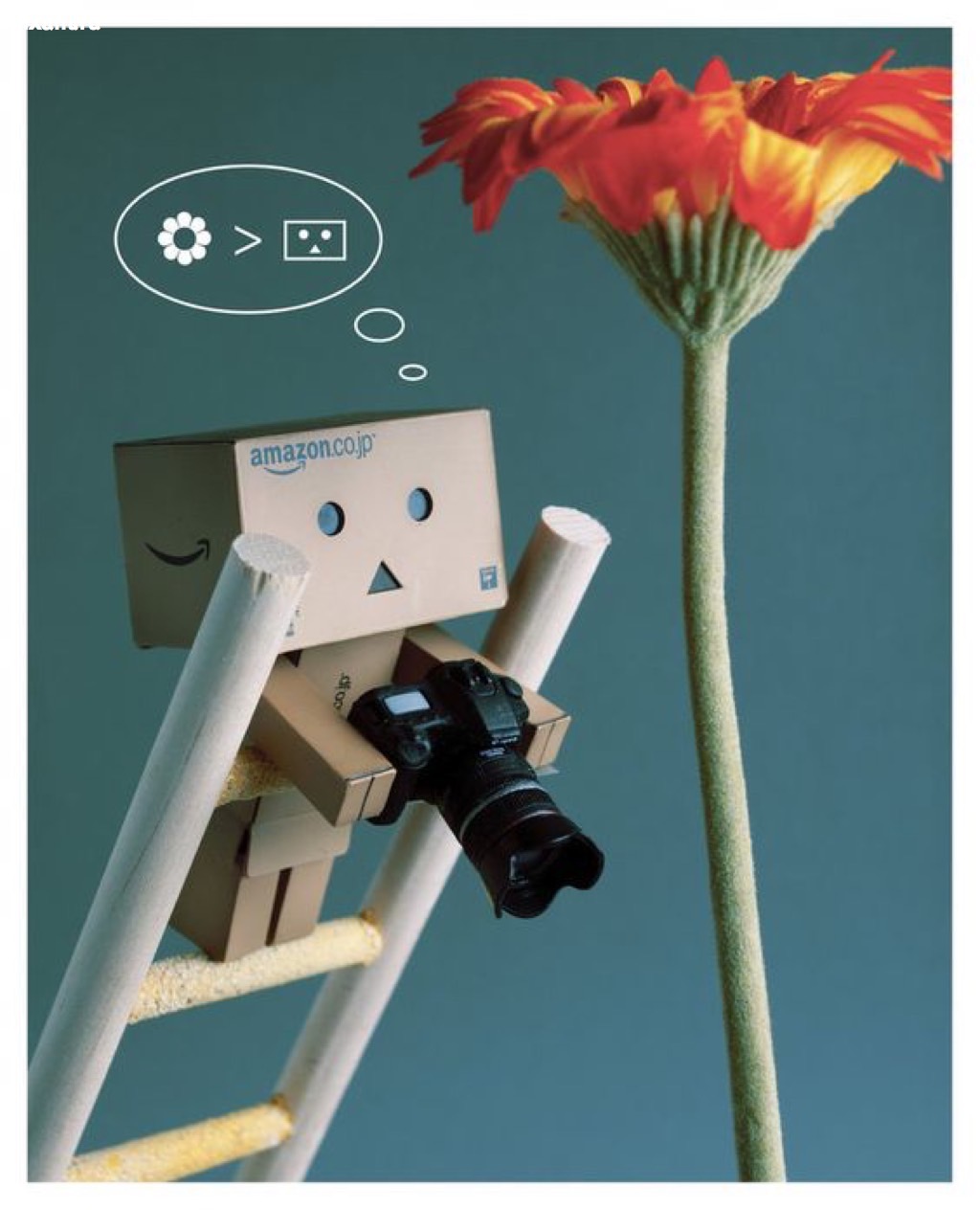 Фото Приключения человечка из картонной коробки Данбо: 131 фото из раздела  /