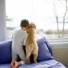 Фото Дети и собаки: лучшие друзья (подборка 20 фото) из раздела  /