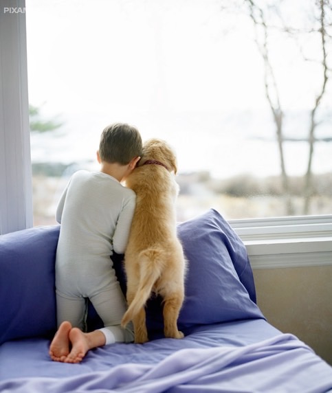 Фото Дети и собаки: лучшие друзья (подборка 20 фото) из раздела /