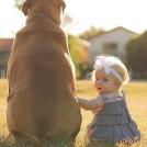 Фото Маленькие детки и собачки (подборка из 22 фото) из раздела  /