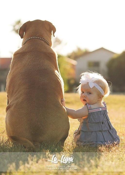 Фото Маленькие детки и собачки (подборка из 22 фото) из раздела  /