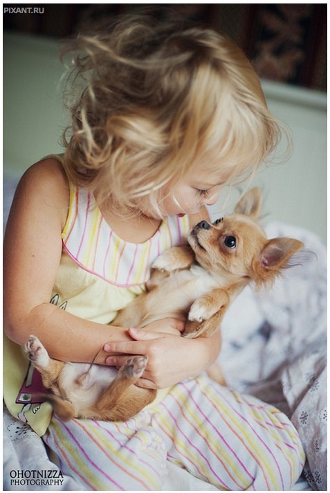 Фото Дети и собаки: лицом к лицу (чудесная подборка из 27 милых фото) из раздела  /