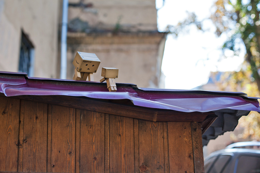 Фото Третье путешествие человечка из картонных коробок по России (39  фото) из раздела  /