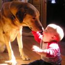 Фото Дети и собаки: лицом к лицу (чудесная подборка из 27 милых фото) из раздела  /