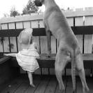 Фото Маленькие детки и собачки (подборка из 22 фото) из раздела  /