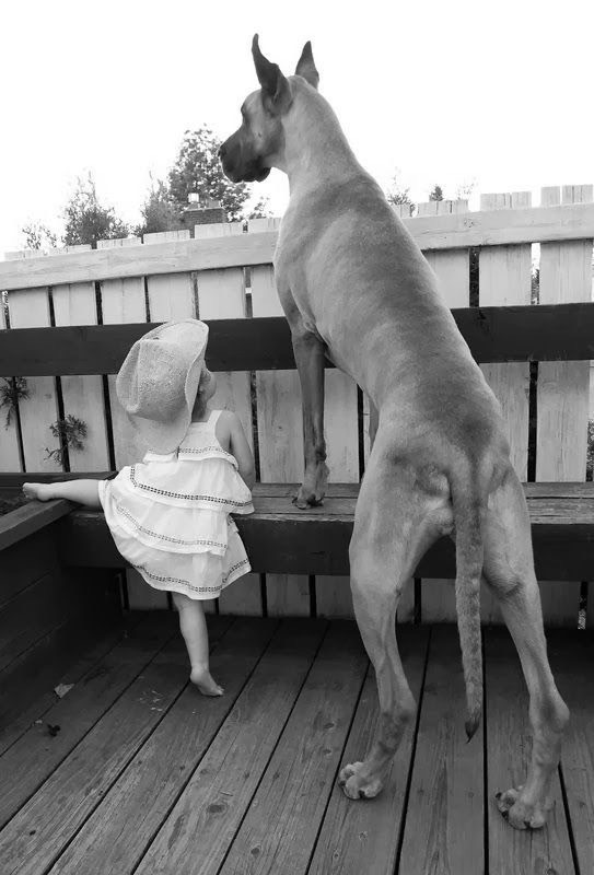 Фото Маленькие детки и собачки (подборка из 22 фото) из раздела  /