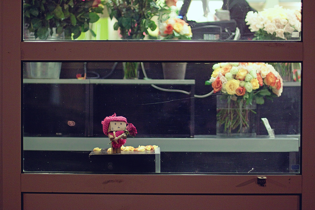 Фото Третье путешествие человечка из картонных коробок по России (39  фото) из раздела  /